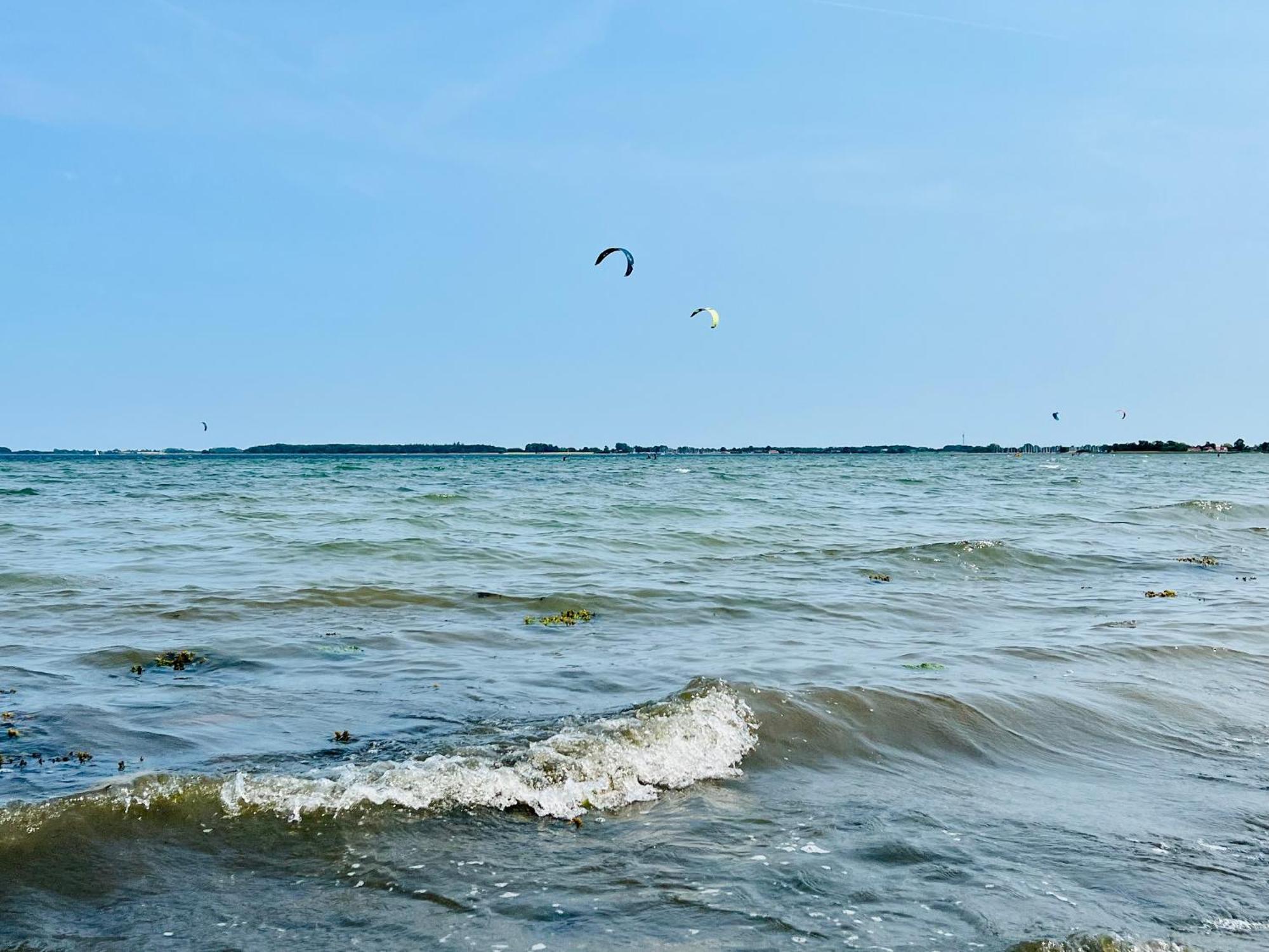 Strandmuschel غيتلينغ المظهر الخارجي الصورة